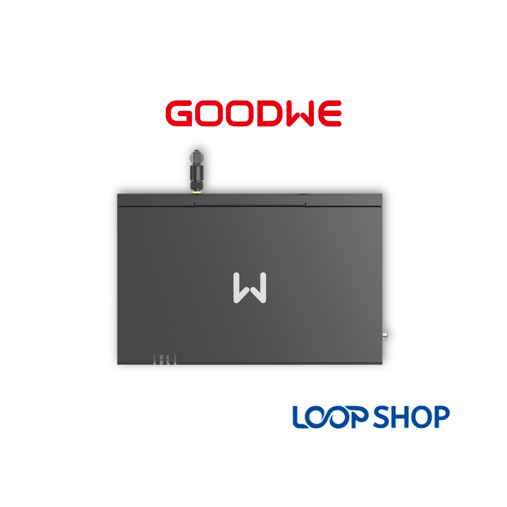 GoodWe EzLogger3000C